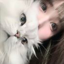 CICI