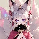 狐揪揪