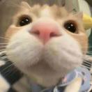 朱浩思