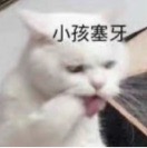 小白