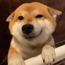 小汪