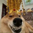 萧何