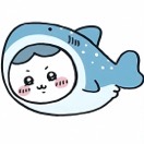 小浩