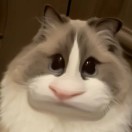 小yaba