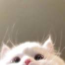 阿研研