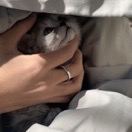 马鑫鑫