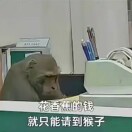 道心标记