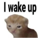 XX