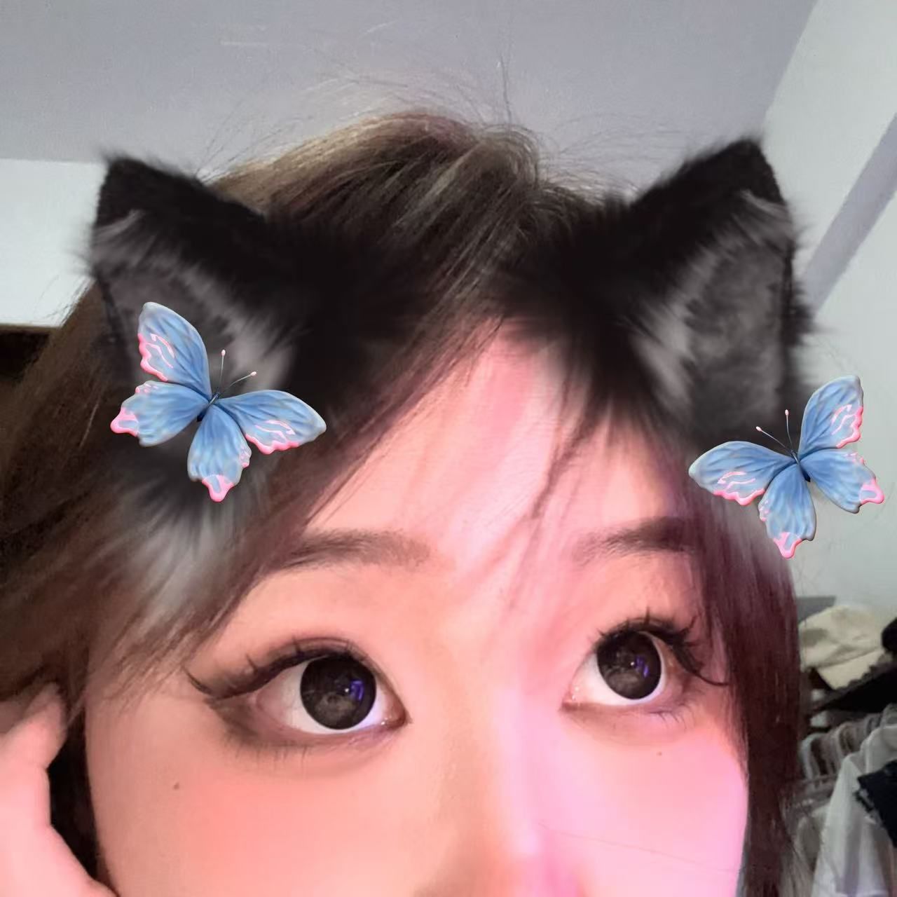 昭昭