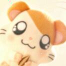 亭子