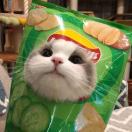 柠檬