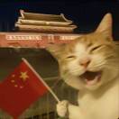 冰可乐