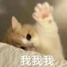 穗岁