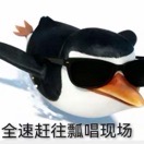 小源
