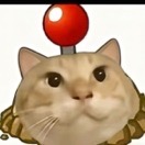 尸王