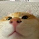 黎轩