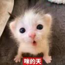 铭铭就