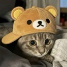晓可乐