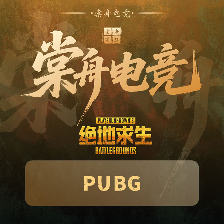 二品・女陪・pubg