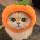 小汽车