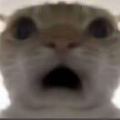 A27