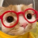 小田