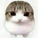 小枝